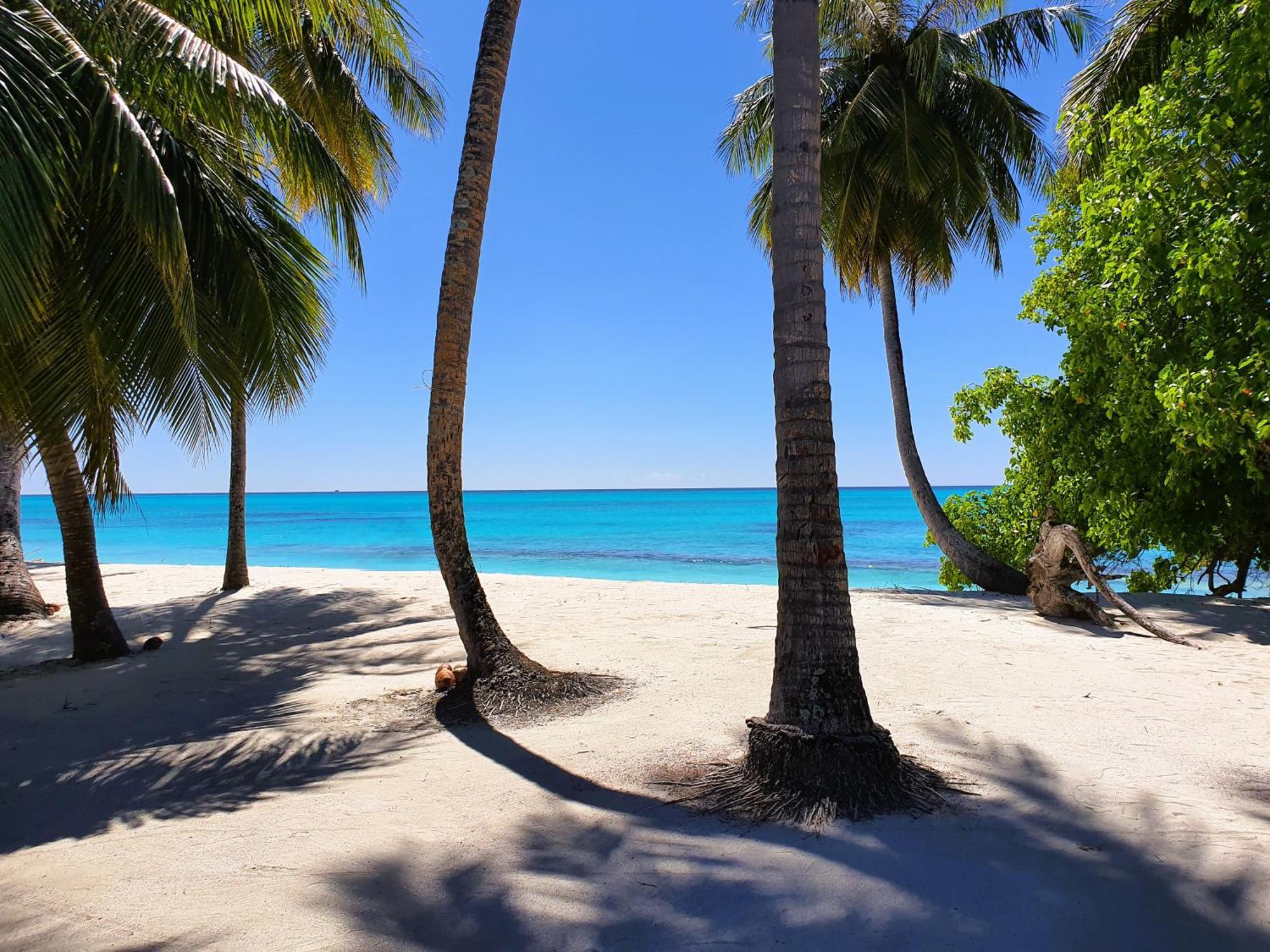 The Fulhadhoo Beach Cottage Exterior foto
